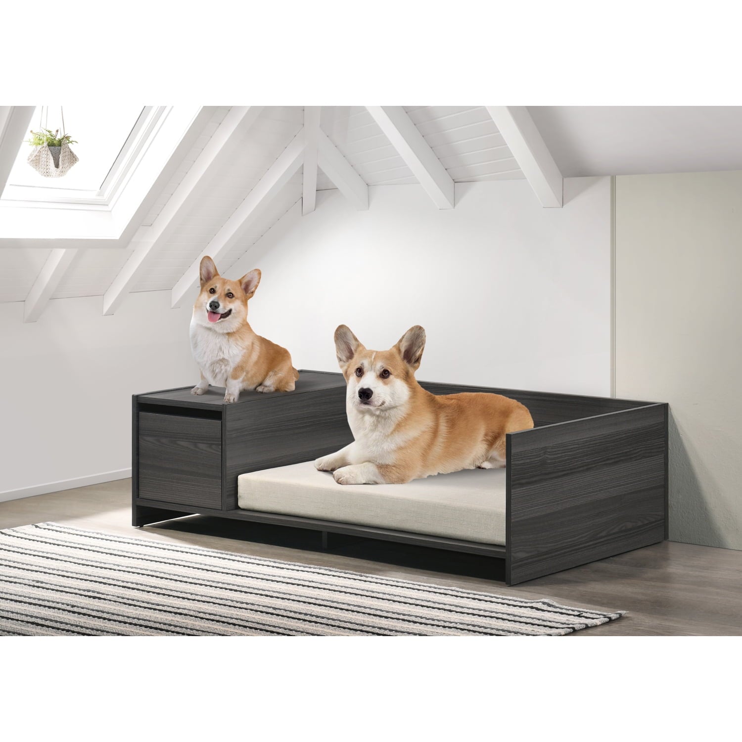 Vivifying 47" Wide Modern Comfy Pet Bed with Cushion and Side Storage Compartment Esme Ash Gray