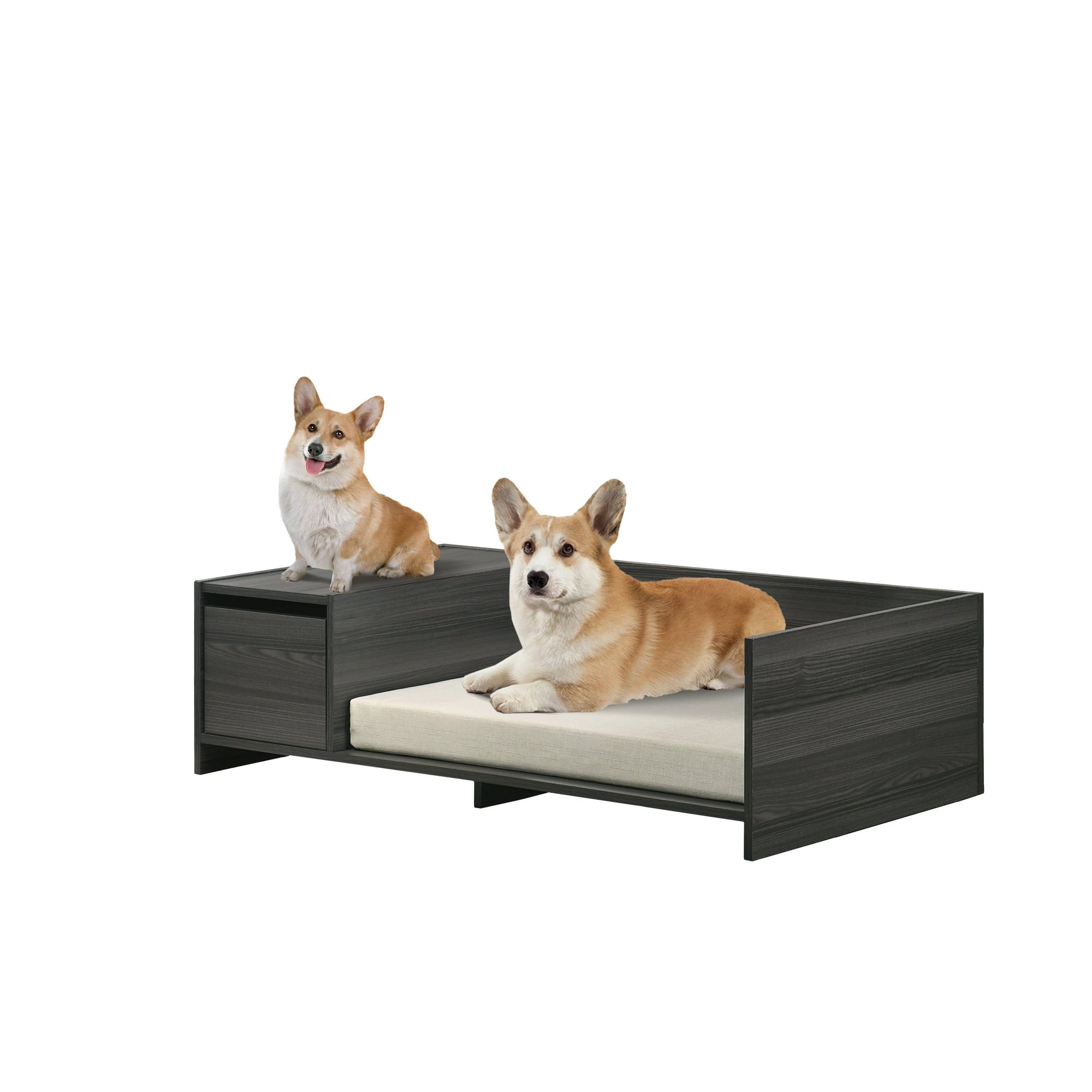 Vivifying 47" Wide Modern Comfy Pet Bed with Cushion and Side Storage Compartment Esme Ash Gray