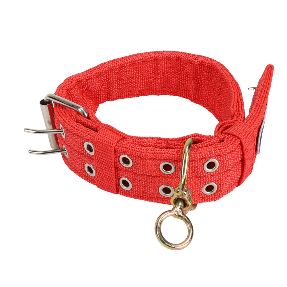 Vivifying Red Nylon Pet Collar – 2ft Long, 1.6in Wide, Adjustable & Comfortable Collar for Dogs and Other Animals, Durable Alloy Buckle, Ideal for Daily Indoor & Outdoor Use