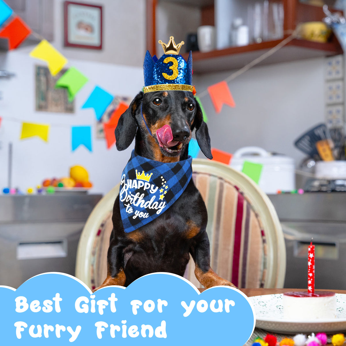 Dog Birthday Bandana Set, Doggie Birthday Party Supplies Decorations (11-Piece Set) with Cute Dog Bow Tie, Crown Hat with Numbers for Small Medium Large Dogs, Blue Dog Birthday Outfit (Blue)