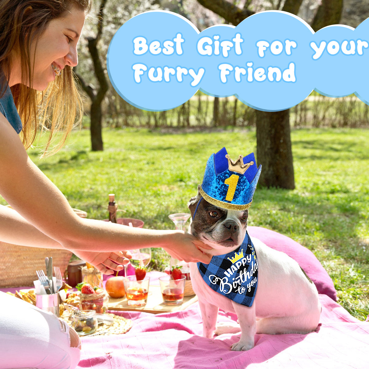 Dog Birthday Bandana Set, Doggie Birthday Party Supplies Decorations (11-Piece Set) with Cute Dog Bow Tie, Crown Hat with Numbers for Small Medium Large Dogs, Blue Dog Birthday Outfit (Blue)