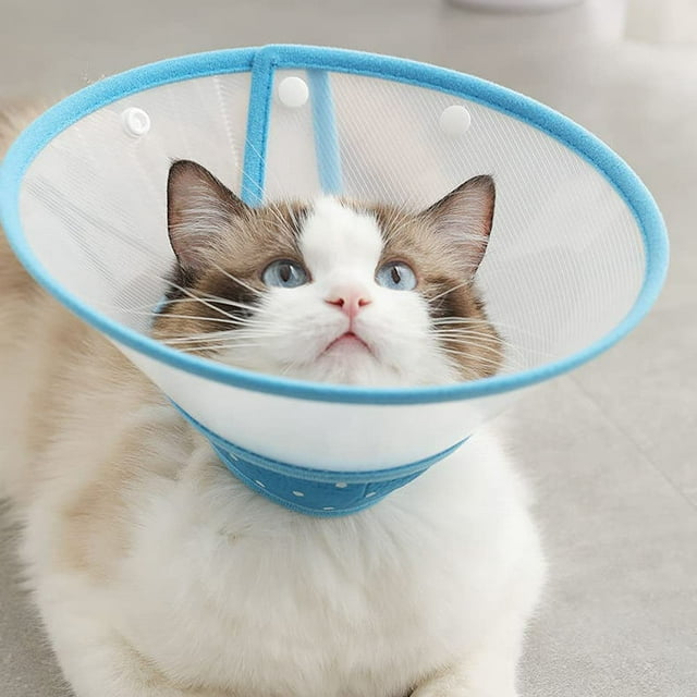 Plastic Cat Cone Recovery Collars & Cones for Dogs and Cats After Surgery Adjustable Dog Neck Cone Surgical Elizabeth E-Collar Prevent Biting and Stop Licking Wound