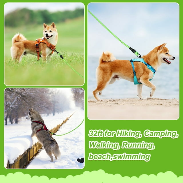 Vivifying Long Leash for Dogs Outside, 32ft Reflective Dog Training Leash for Camping and Hiking, Floating Long Rope Lead with Soft Handle for Swimming and Beach (Green) Can See in The Dark