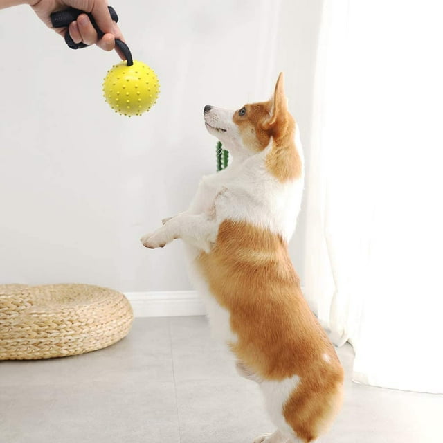 Vivifying Dog Ball on a Rope, 2 Pack Natural Interactive Rubber Ball for Fetch, Catch, Throw, Training and Tug of War (Orange + Yellow)