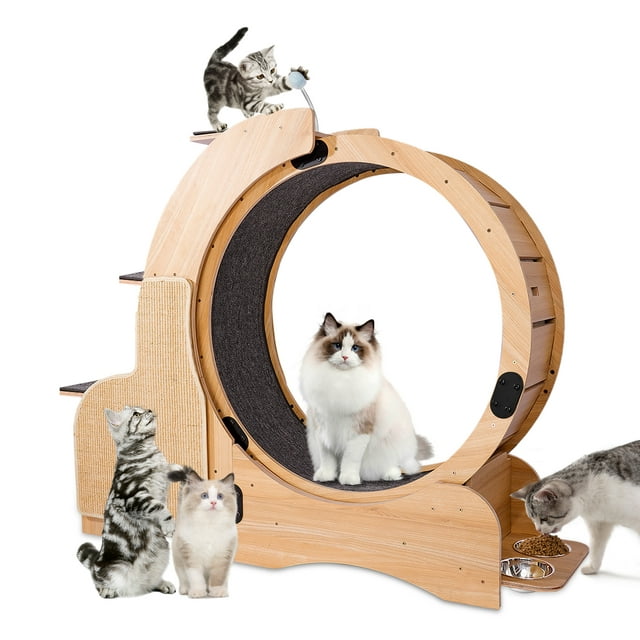 Vivifying Cat Exercise Wheel Cat Treadmill Running Wheel for Indoor Cats Daily Exercise, Cat Wheel Exerciser for Indoor Cats