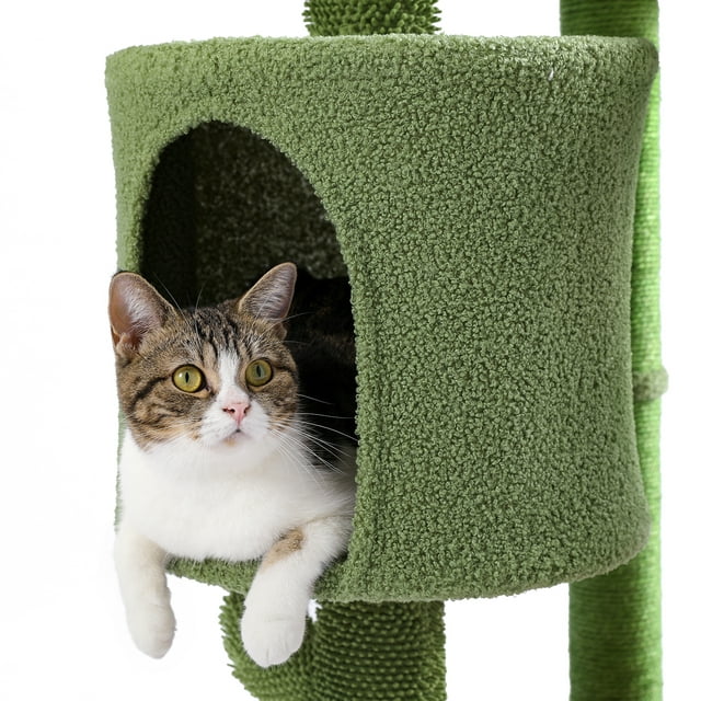 Vivifying Cat Tree Cactus Cat Tower with Sisal Scratching Post for Indoor Cats, Cozy Condo with Ladder, Plush Perches and Dangling Ball, Cat Furniture for Kittens Adult Cats
